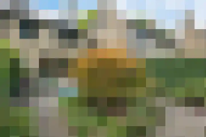 Amelterhout 23 Assen thumbnail 4