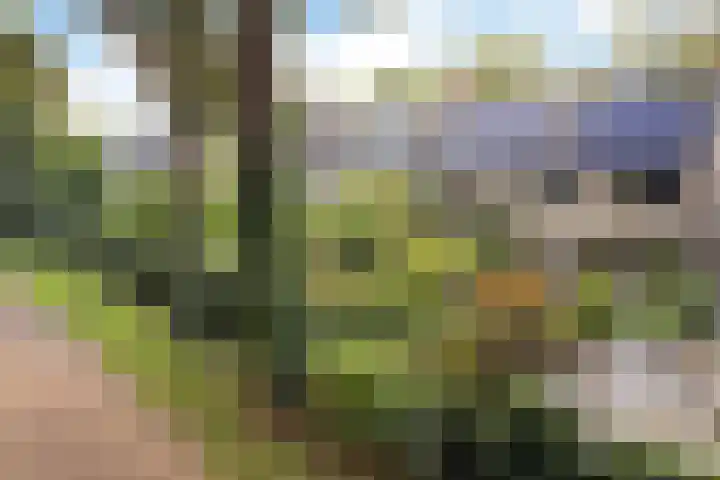 Amelterhout 23 Assen thumbnail 40
