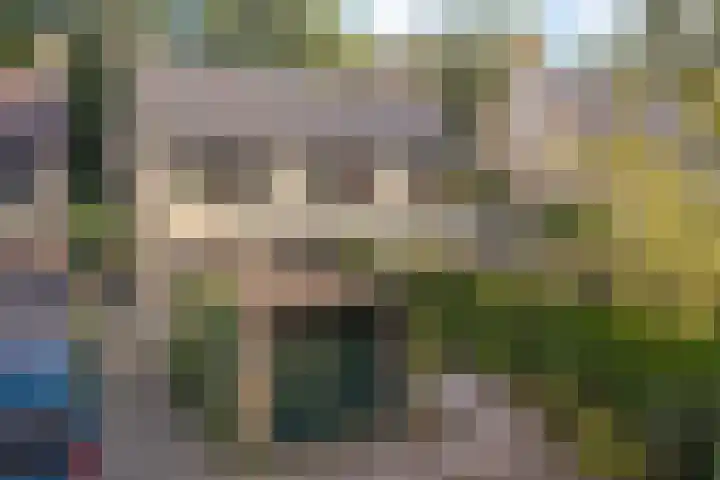Amelterhout 23 Assen thumbnail 44