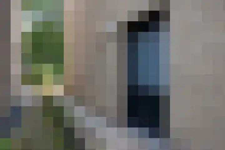 Amelterhout 23 Assen thumbnail 6