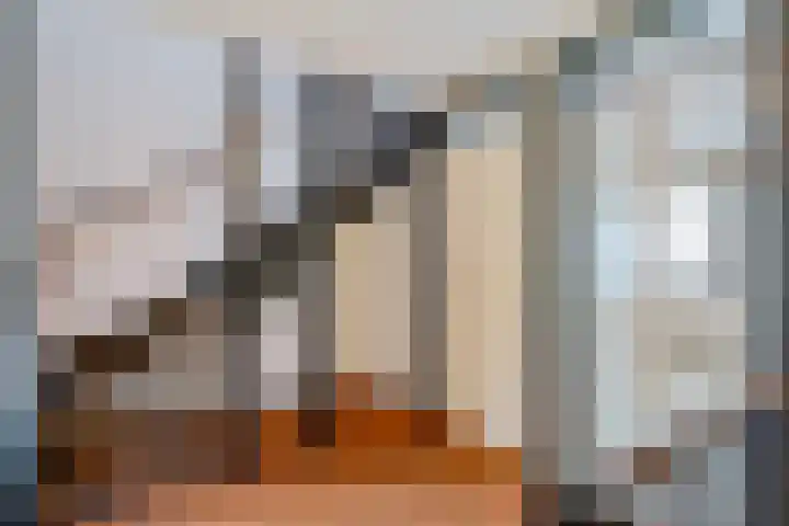Amelterhout 34 Assen thumbnail 20