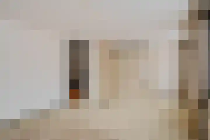 Amelterhout 34 Assen thumbnail 26