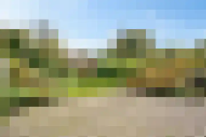 Amelterhout 34 Assen foto 3