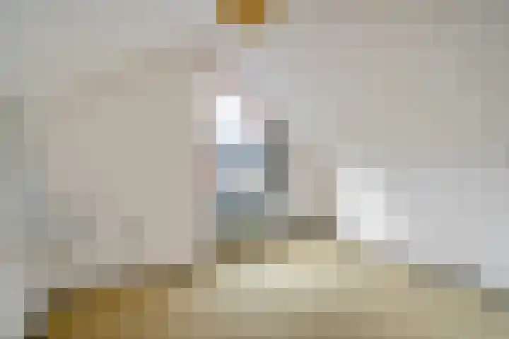 Amelterhout 34 Assen thumbnail 31