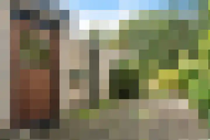 Amelterhout 34 Assen thumbnail 33