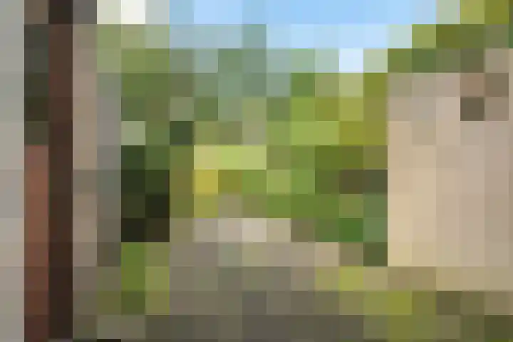 Amelterhout 34 Assen thumbnail 34