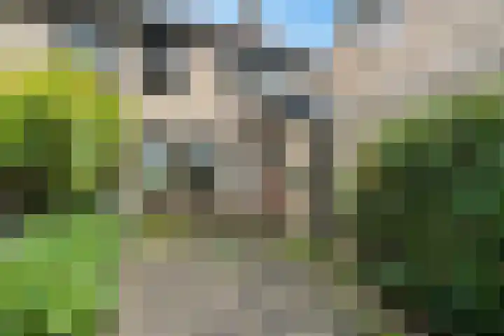 Amelterhout 34 Assen thumbnail 35