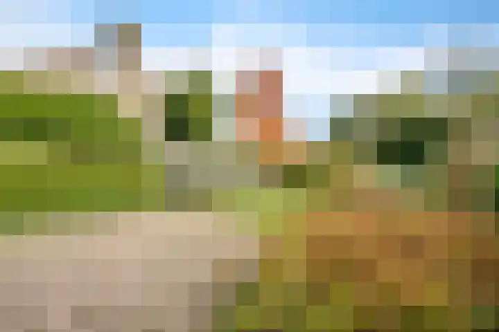 Amelterhout 34 Assen thumbnail 36