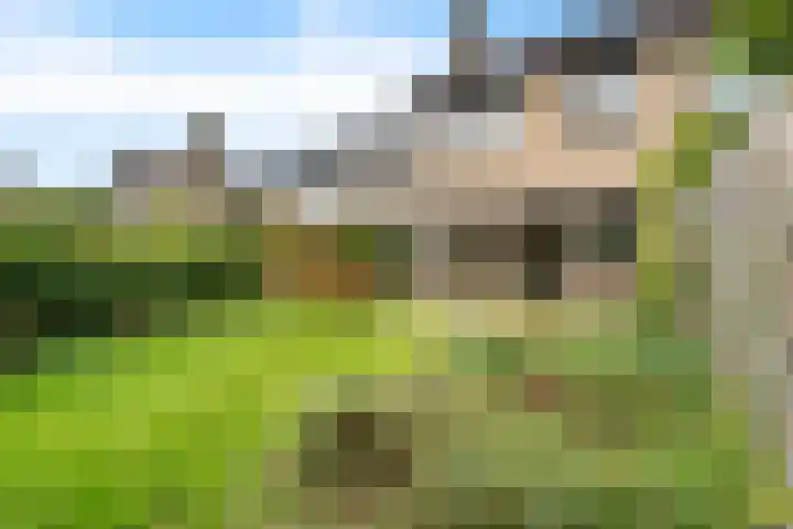 Amelterhout 34 Assen thumbnail 37