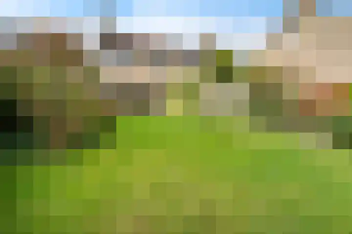 Amelterhout 34 Assen thumbnail 38