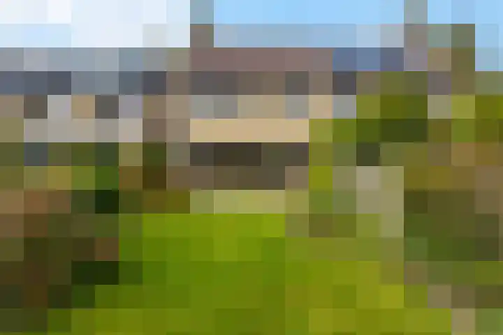 Amelterhout 34 Assen thumbnail 39