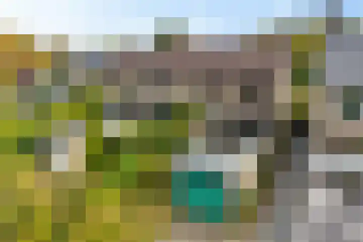 Amelterhout 34 Assen thumbnail 4