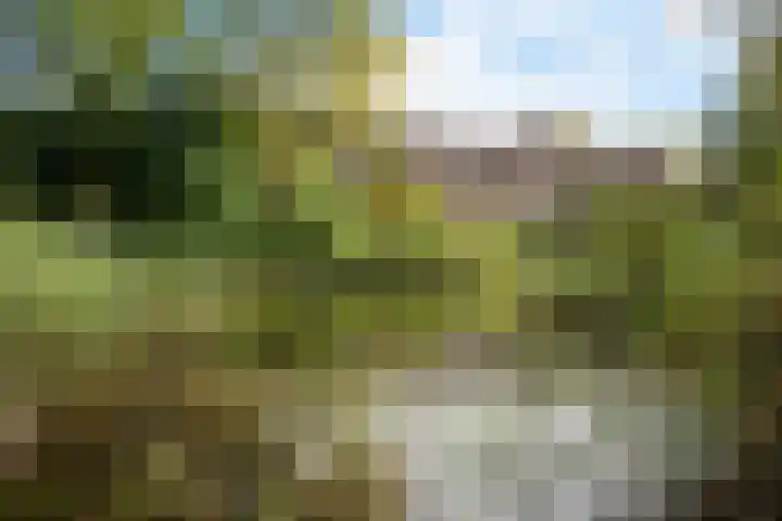 Amelterhout 34 Assen thumbnail 41