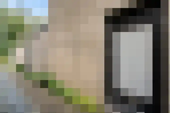 Amelterhout 34 Assen thumbnail 7