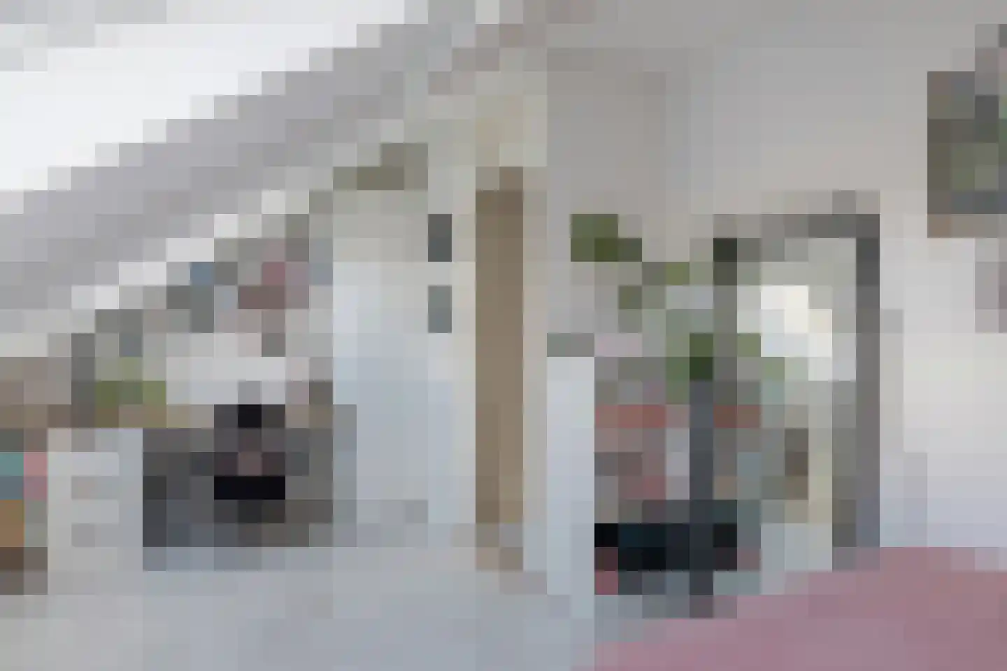 Amelterhout 37 Assen thumbnail 46