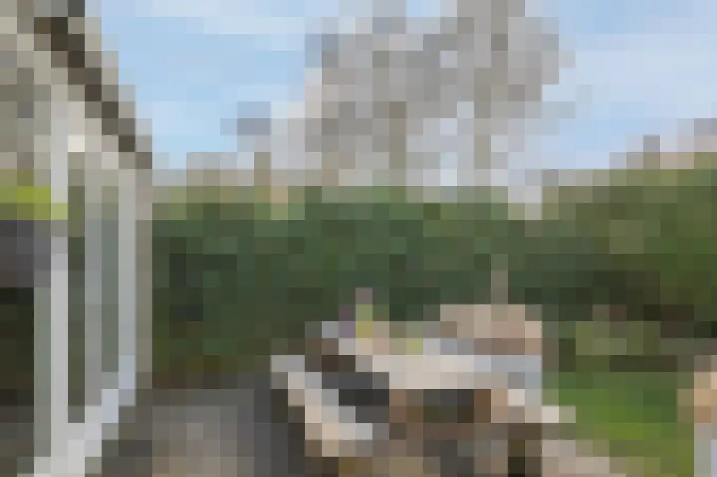 Amelterhout 37 Assen thumbnail 47