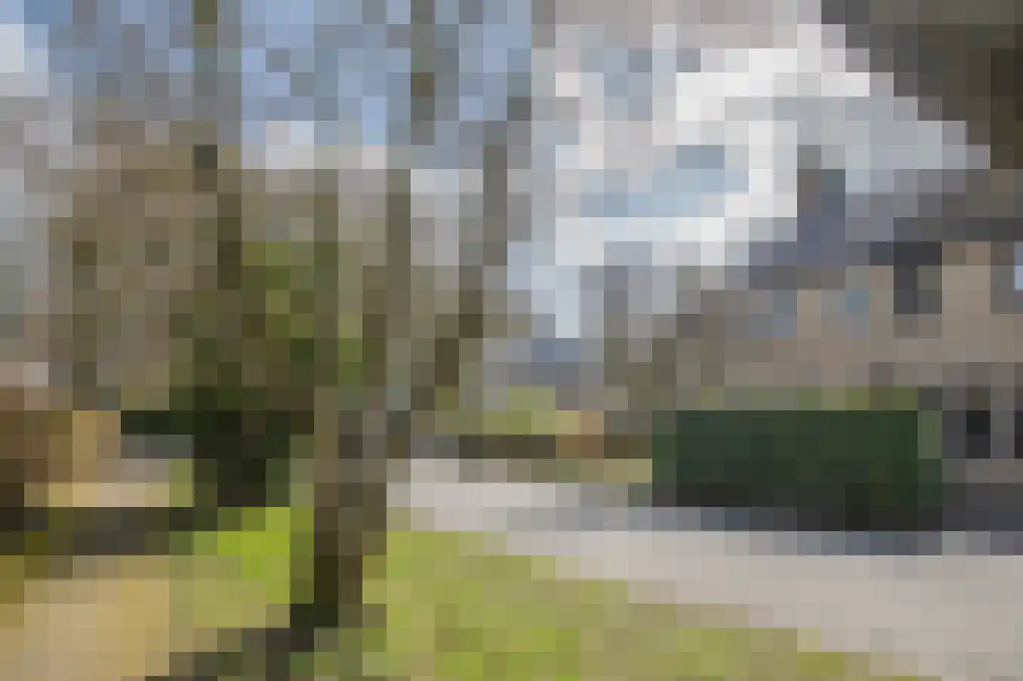 Amelterhout 37 Assen thumbnail 7