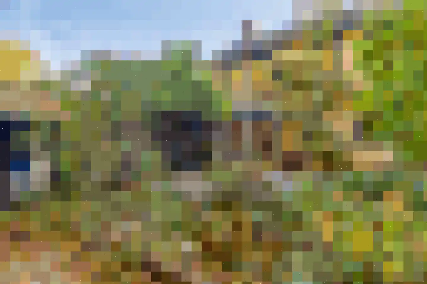 Amelterhout 61 Assen thumbnail 51