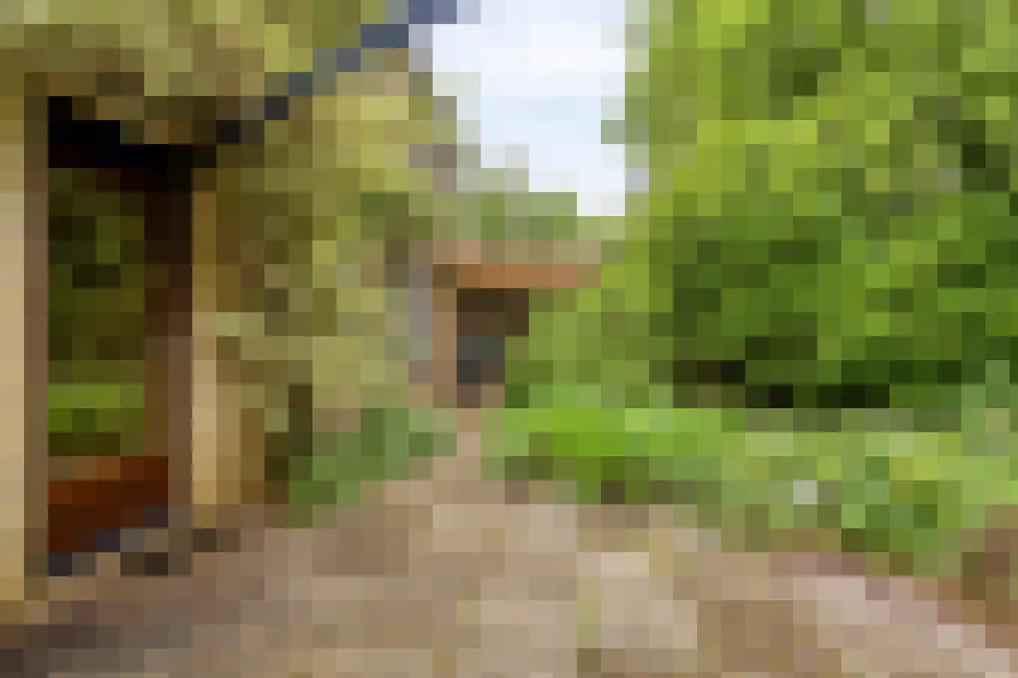 Amelterhout 61 Assen thumbnail 56
