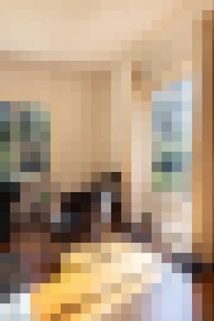 Amelterweg 2 Joppe thumbnail 10