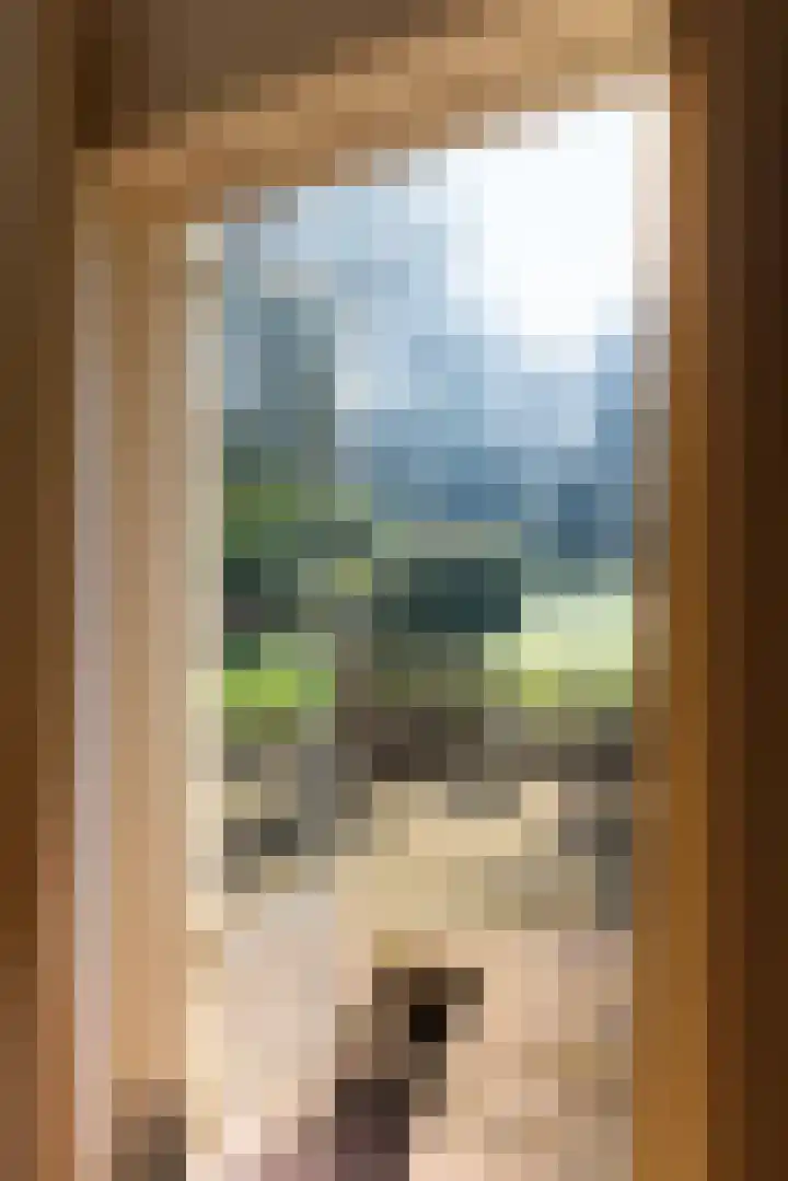 Amelterweg 2 Joppe thumbnail 11