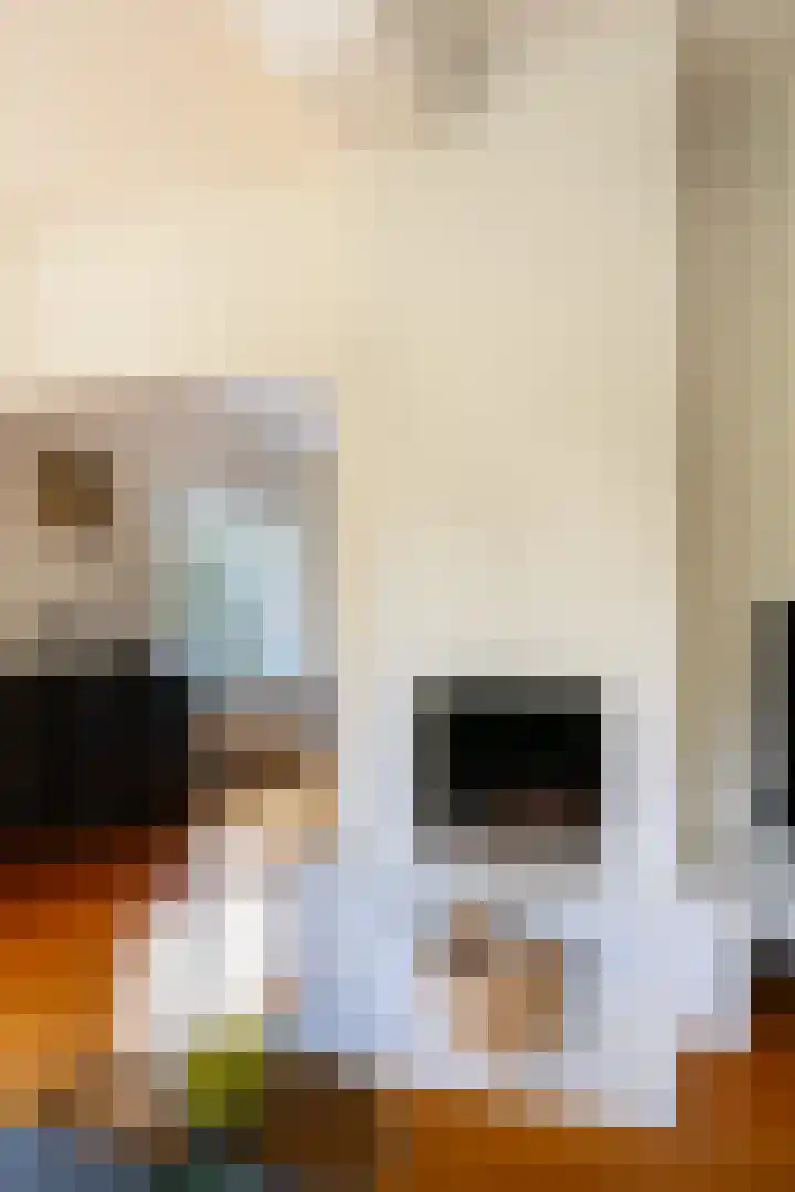 Amelterweg 2 Joppe thumbnail 12