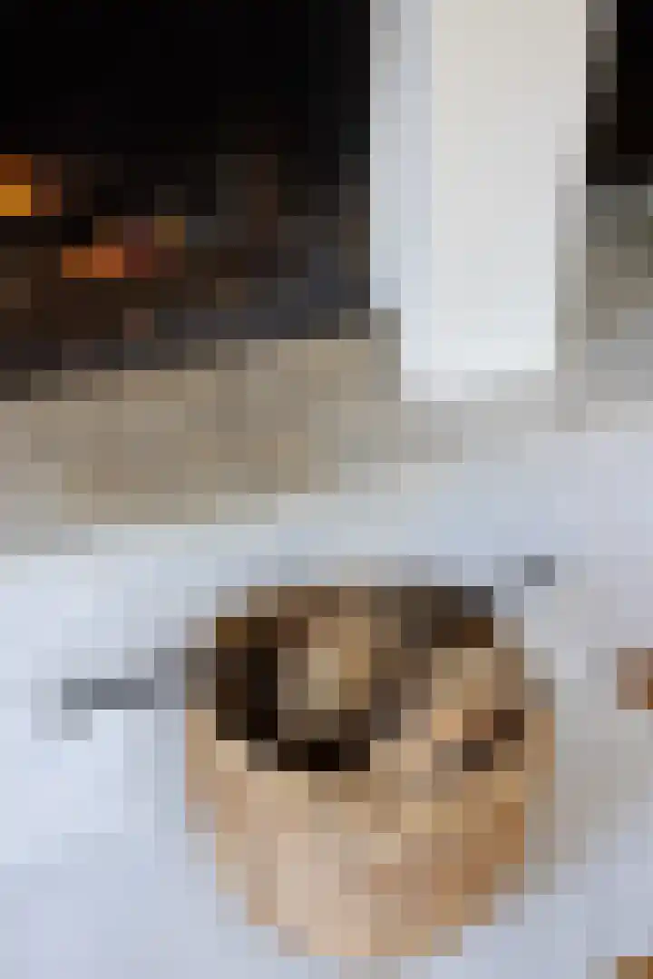 Amelterweg 2 Joppe thumbnail 15
