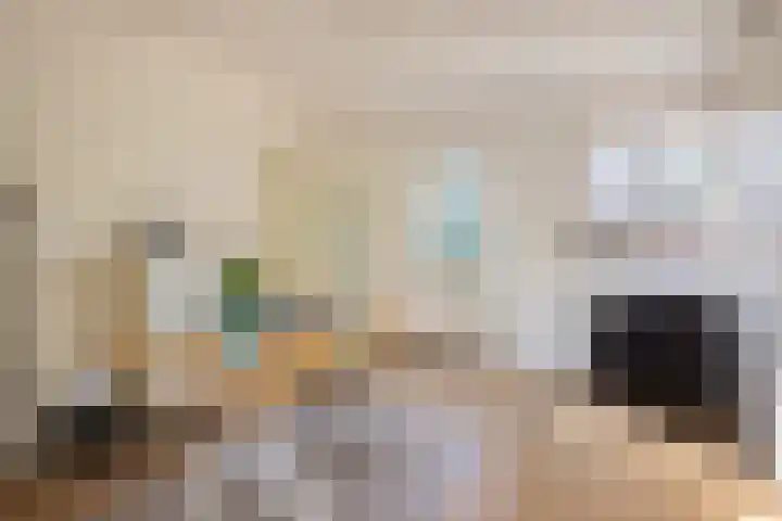 Amelterweg 2 Joppe thumbnail 26
