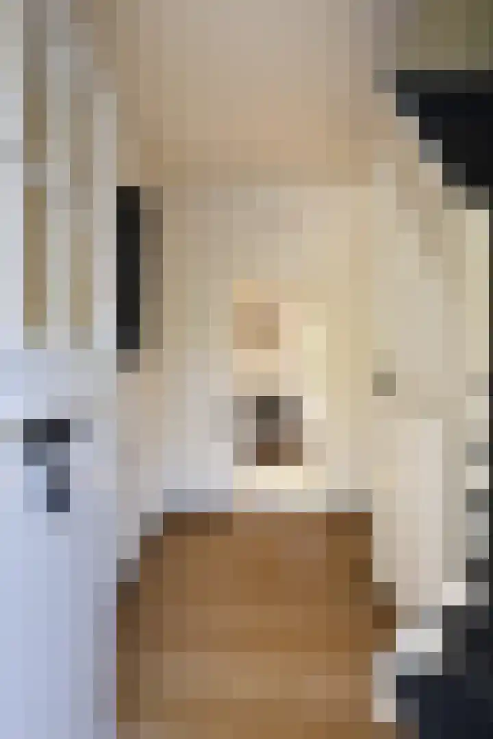Amelterweg 2 Joppe thumbnail 27