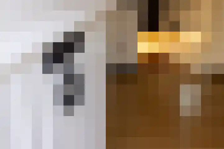 Amelterweg 2 Joppe thumbnail 28