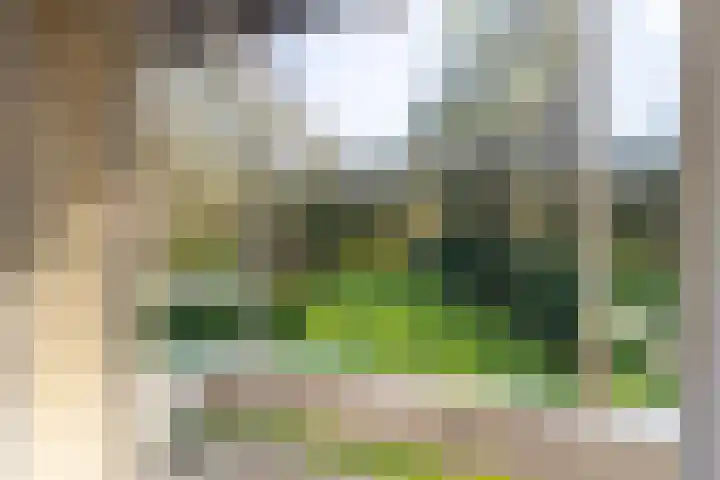 Amelterweg 2 Joppe thumbnail 34