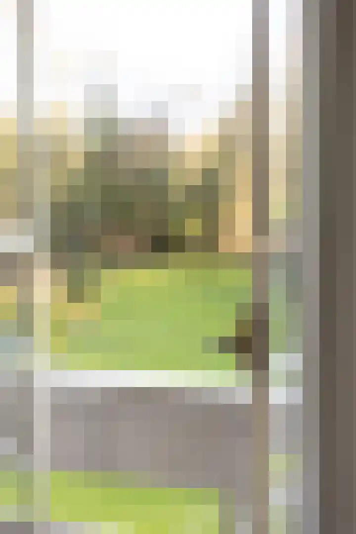 Amelterweg 2 Joppe thumbnail 35