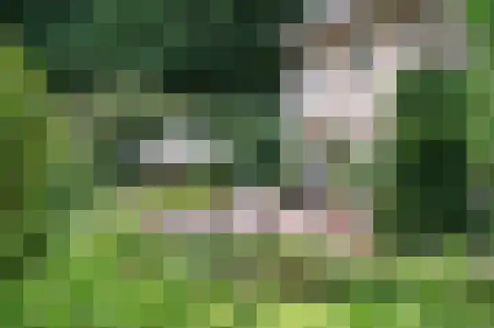 Amelterweg 2 Joppe thumbnail 50