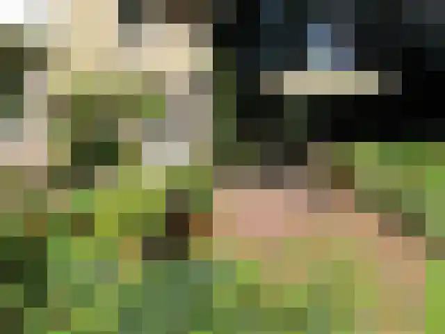 Amelterweg 2 Joppe thumbnail 51