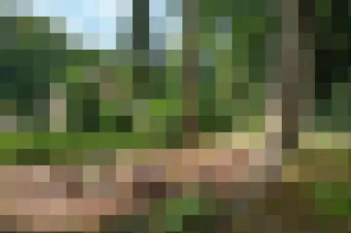 Amelterweg 2 Joppe thumbnail 54