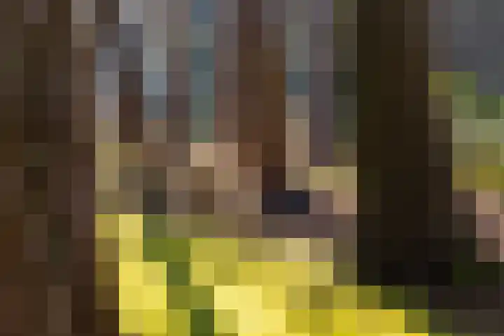 Amelterweg 2 Joppe thumbnail 55
