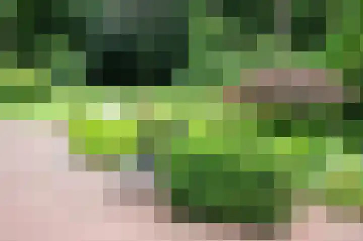 Amelterweg 2 Joppe thumbnail 58