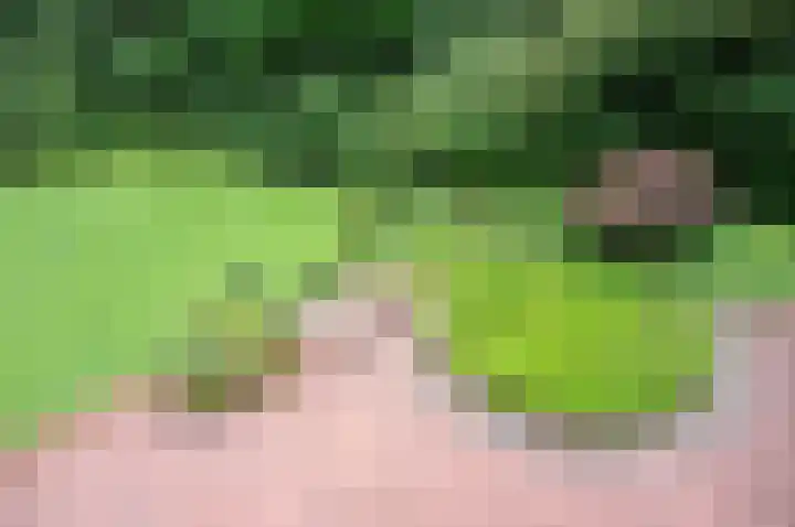 Amelterweg 2 Joppe thumbnail 59