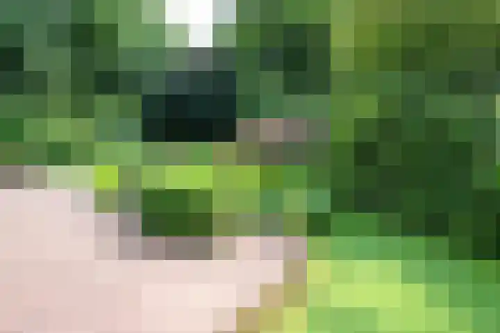 Amelterweg 2 Joppe thumbnail 60