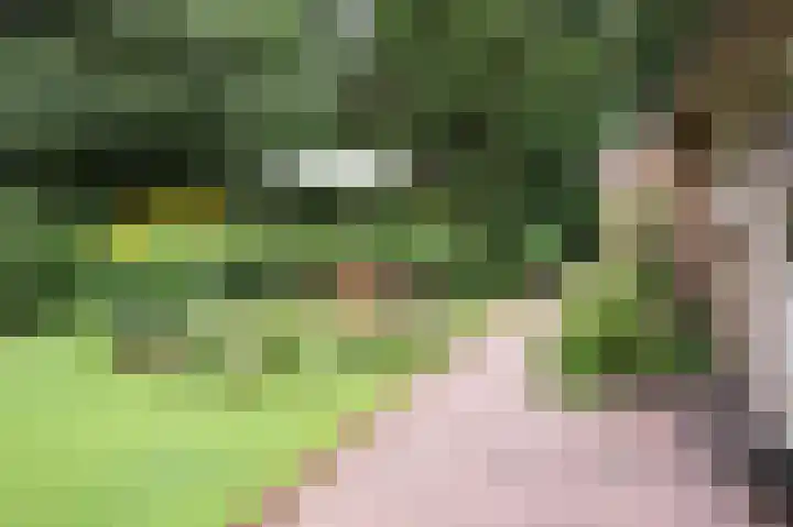 Amelterweg 2 Joppe thumbnail 62