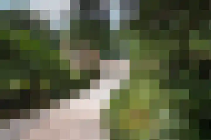 Amelterweg 2 Joppe thumbnail 63