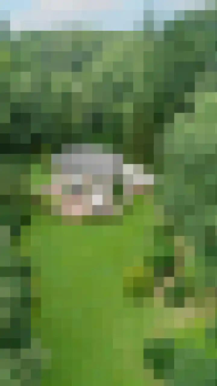 Amelterweg 2 Joppe thumbnail 65