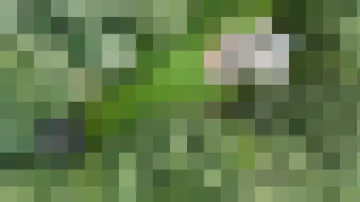 Amelterweg 2 Joppe thumbnail 66