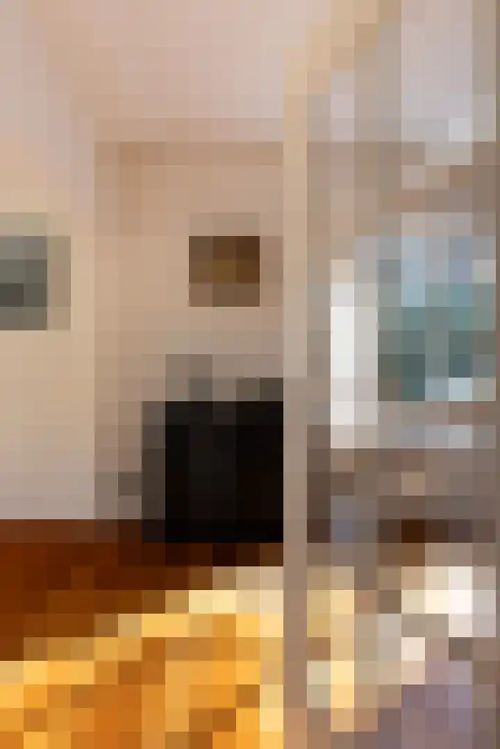 Amelterweg 2 Joppe thumbnail 7