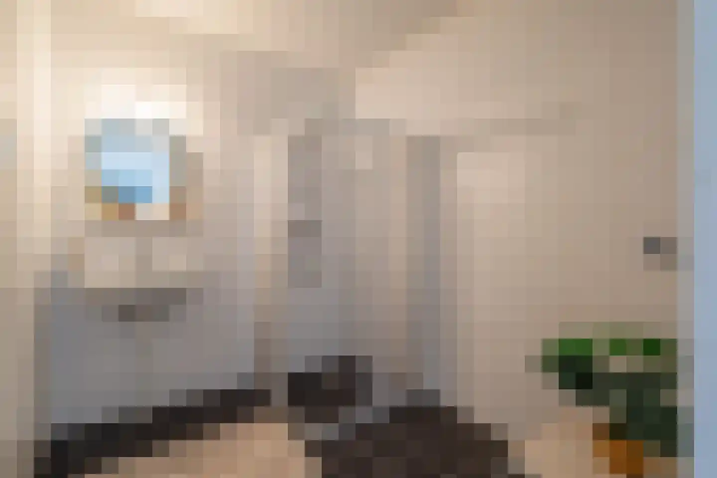 Amendijk 111 Hooglanderveen thumbnail 22