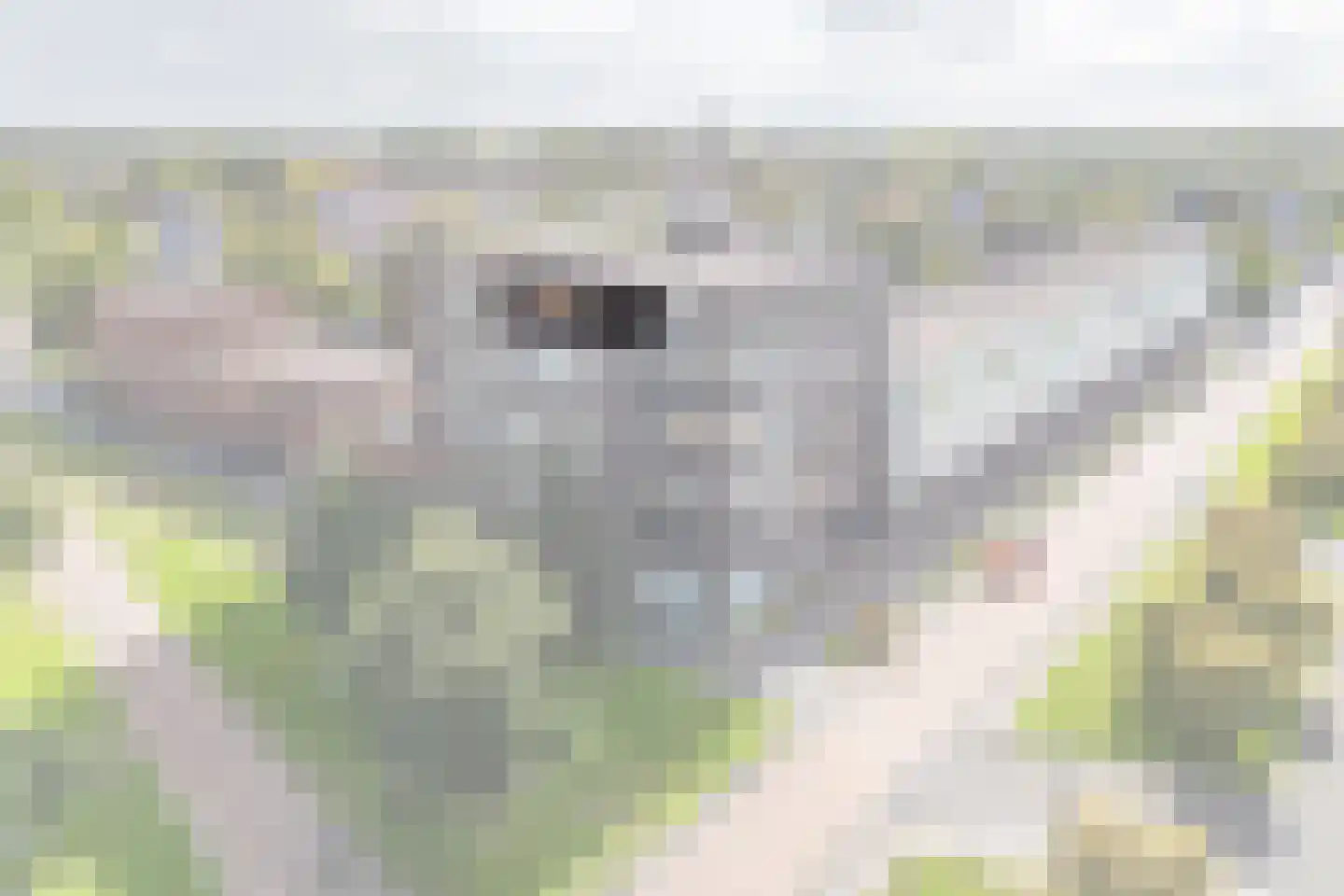 Amendijk 111 Hooglanderveen thumbnail 29