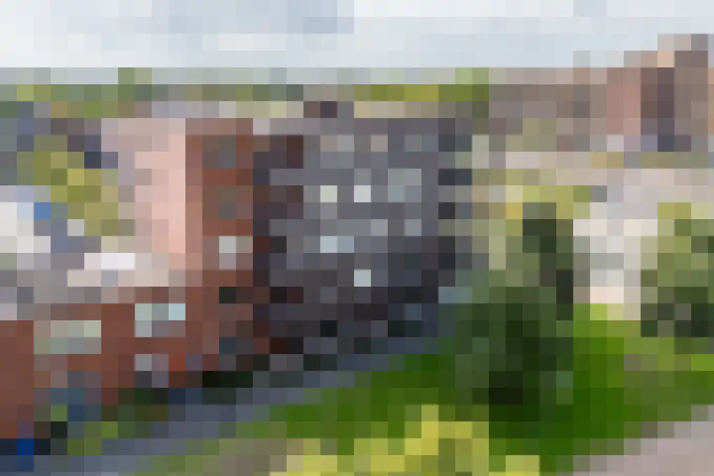 Amendijk 111 Hooglanderveen thumbnail 30