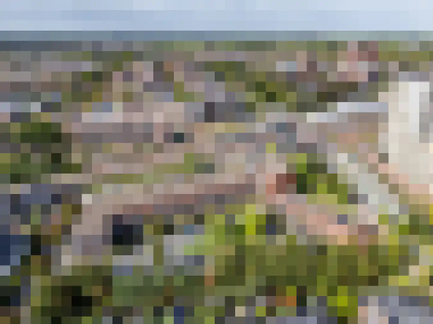 Amendijk 111 Hooglanderveen thumbnail 31