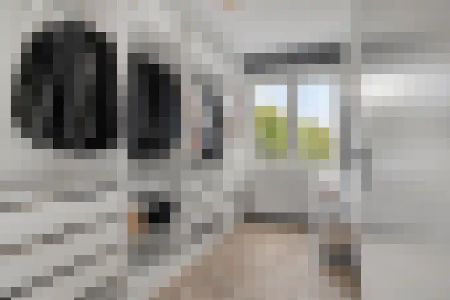 Amendijk 20 Hooglanderveen thumbnail 26