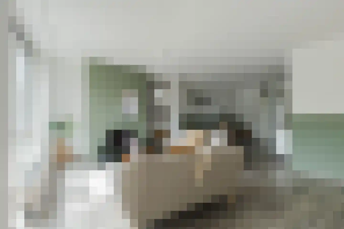 Amendijk 29 Hooglanderveen thumbnail 15